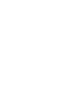aAsset 5