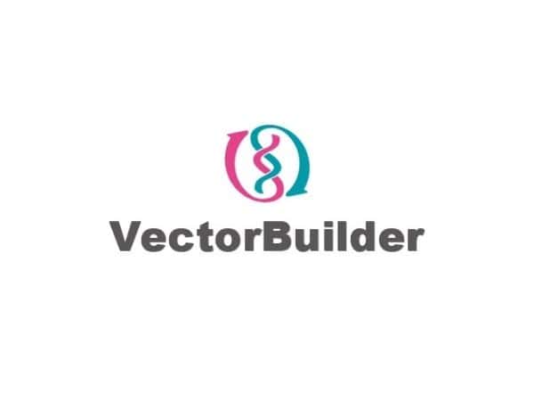 VectorBuilder VectorBuilder